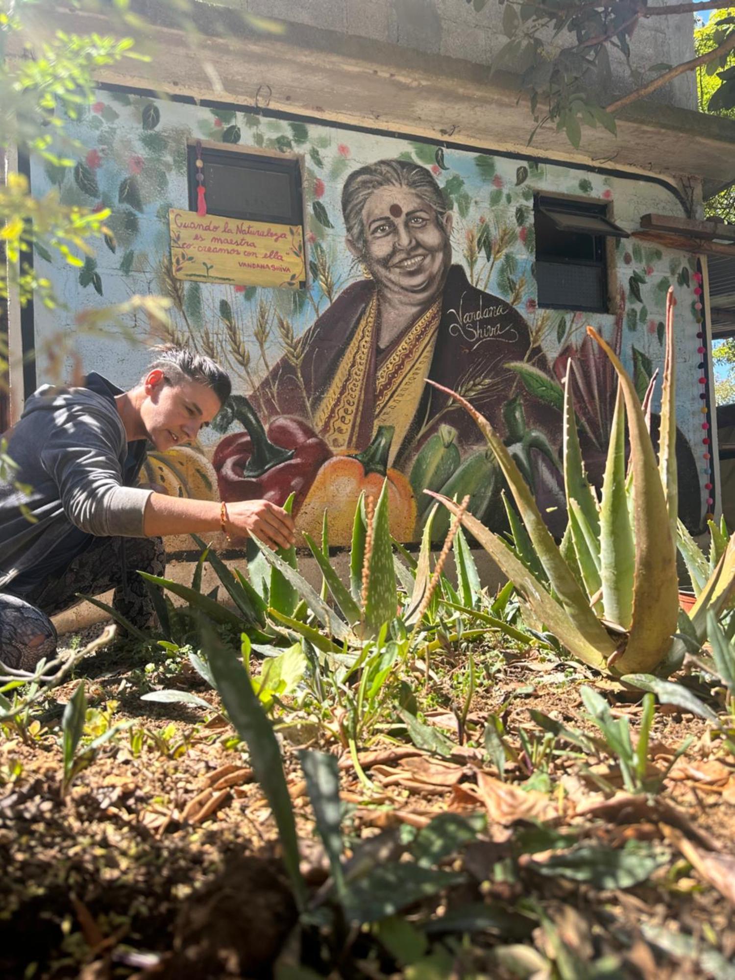 Historika Hostel Cultural ซานกริสโตบัล เด ลาสกาซาส ภายนอก รูปภาพ