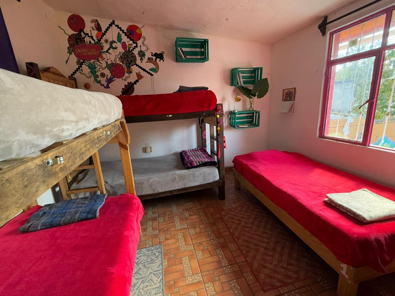 Historika Hostel Cultural ซานกริสโตบัล เด ลาสกาซาส ภายนอก รูปภาพ